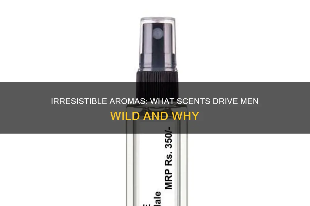 what scent drives a man crazy smells like