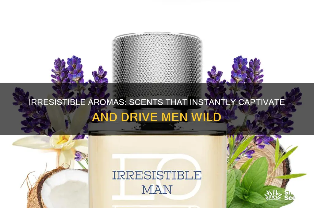 what scent drives a man crazy