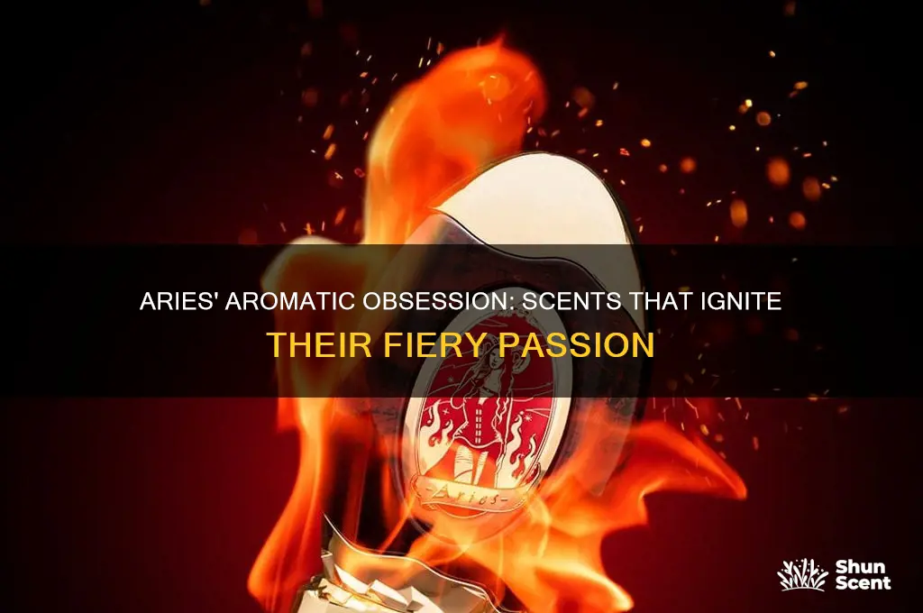 what scent drives aries crazy