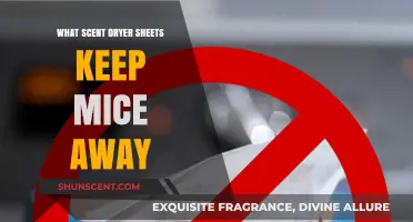 Effective Scents: How Dryer Sheets Repel Mice from Your Home