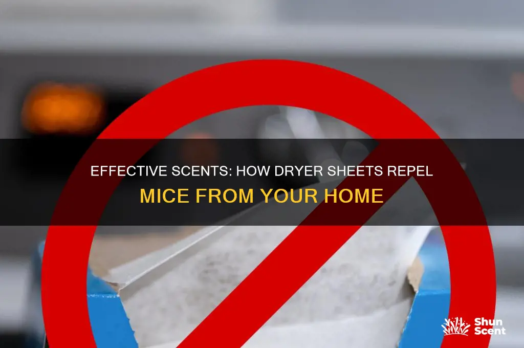 what scent dryer sheets keep mice away