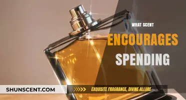 Scents and Spending: How Aromas Influence Consumer Behavior