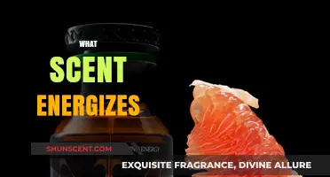Energizing Aromas: Scents That Boost Focus and Revitalize Your Day