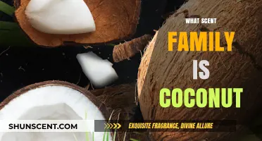Coconut's Aromatic Identity: Unveiling Its Scent Family and Olfactory Charm