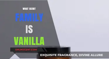 Exploring Vanilla's Aromatic Roots: Unveiling Its Scent Family Secrets