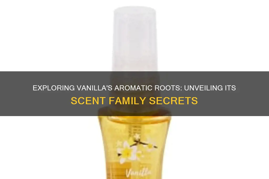 what scent family is vanilla