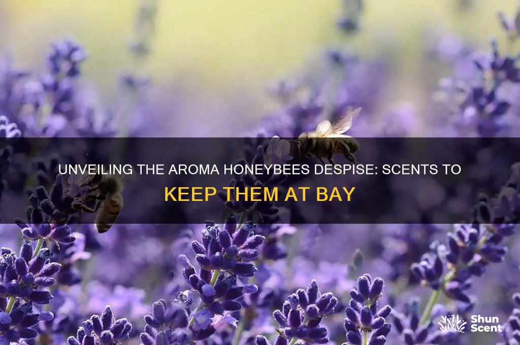 what scent fo honeybees hate