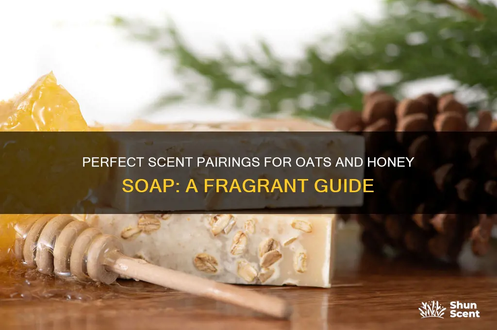 what scent for oats and honey soap