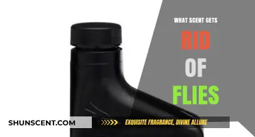 Effective Fly Repellent Scents: Natural Aromas to Keep Flies Away