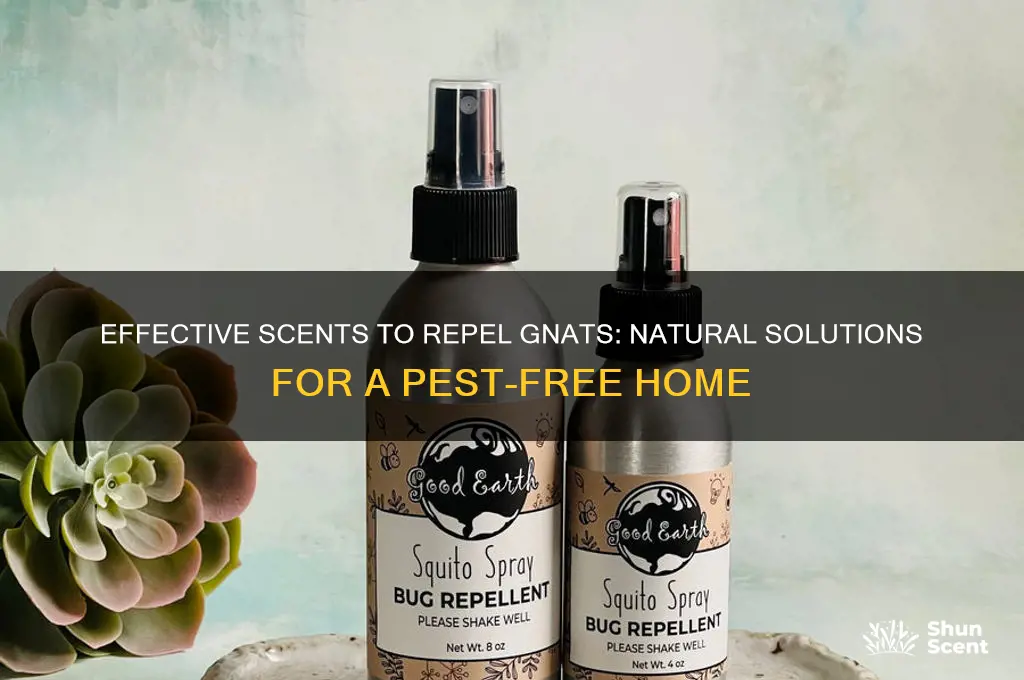 what scent gets rid of gnats