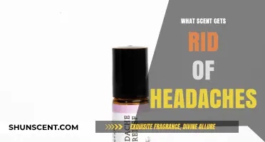 Aromatherapy Relief: Scents That Soothe and Eliminate Headaches Naturally