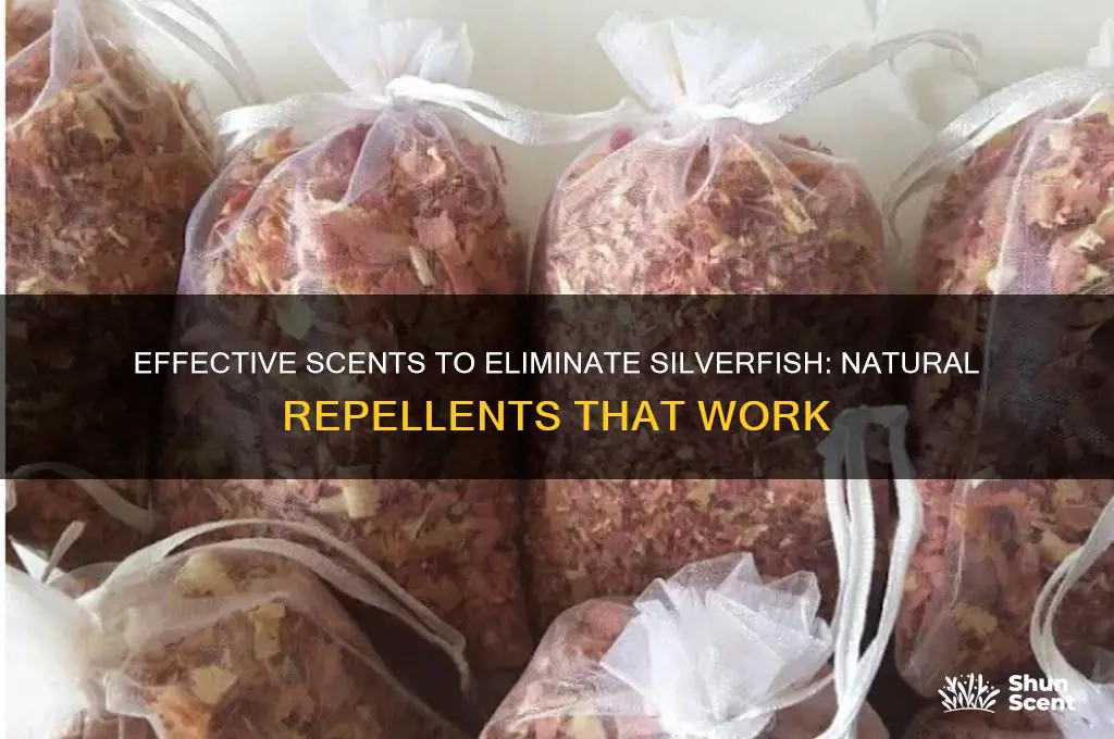 what scent gets rid of silverfish