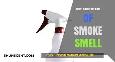 Eliminate Smoke Odor: Discover the Best Scents for Fresh Air