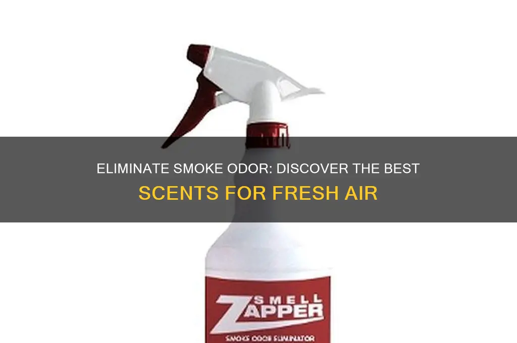 what scent gets rid of smoke smell