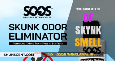 Eliminate Skunk Odor: Best Scents to Neutralize That Pungent Smell