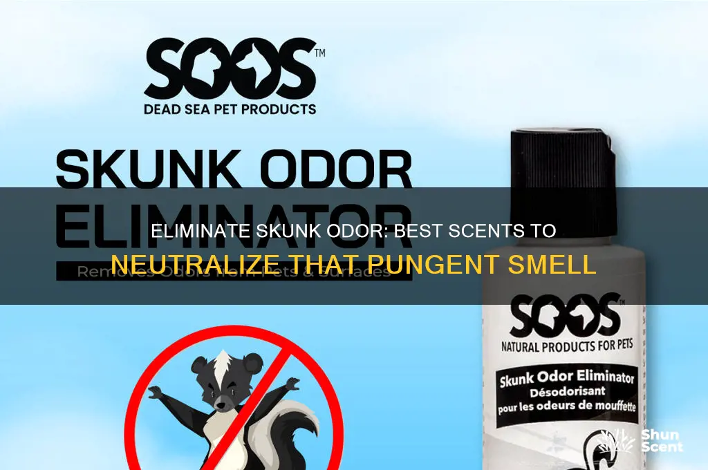 what scent gets tid of skynk smell