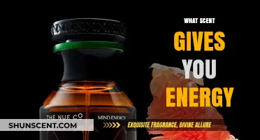 Energizing Aromas: Scents That Boost Your Energy and Focus Instantly