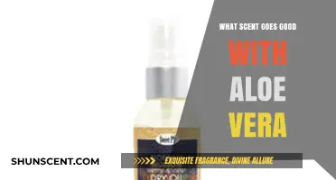 Aloe Vera Pairings: Discover the Best Scents to Complement Its Freshness