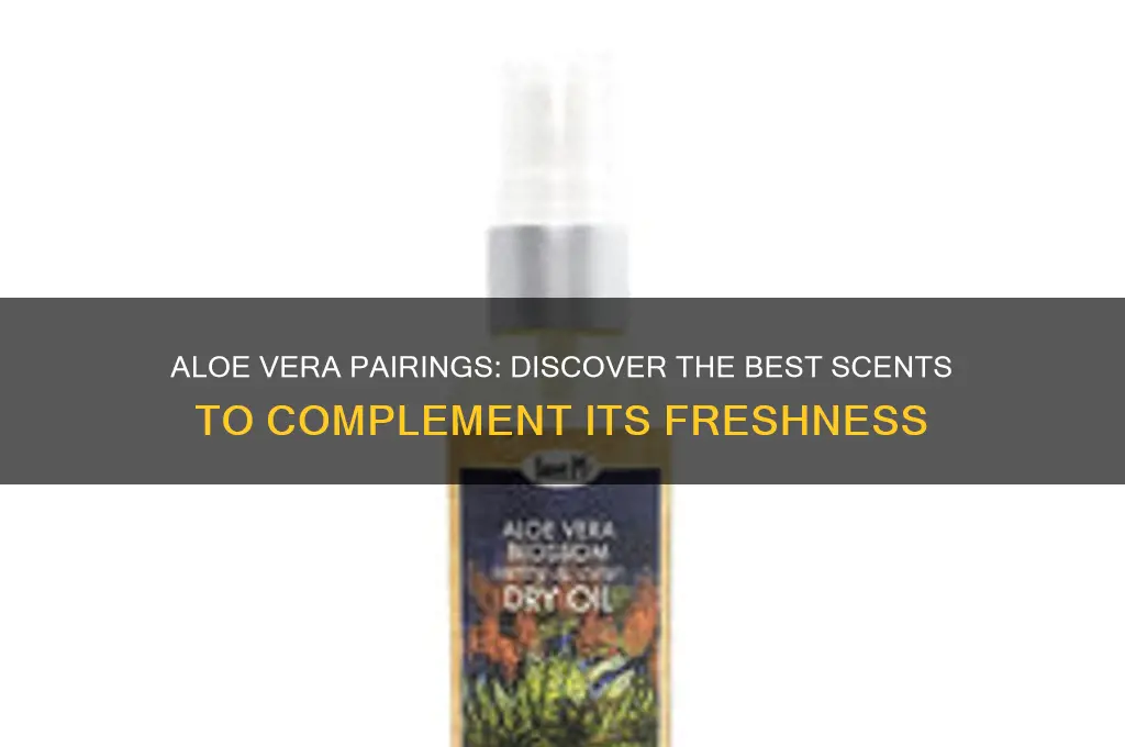 what scent goes good with aloe vera