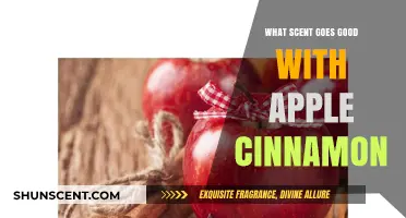 Apple Cinnamon Scent Pairings: Enhance Your Cozy Fragrance Experience