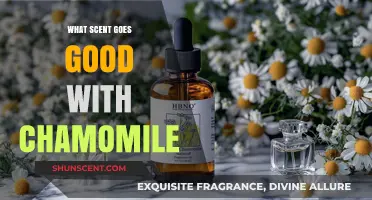 Perfect Pairings: Discover Scents That Complement Chamomile's Soothing Aroma