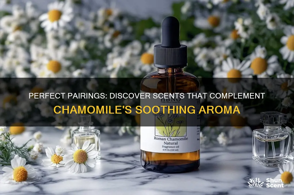 what scent goes good with chamomile