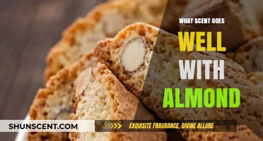 Almond Aromas: Perfect Scents to Complement Its Sweet, Nutty Essence