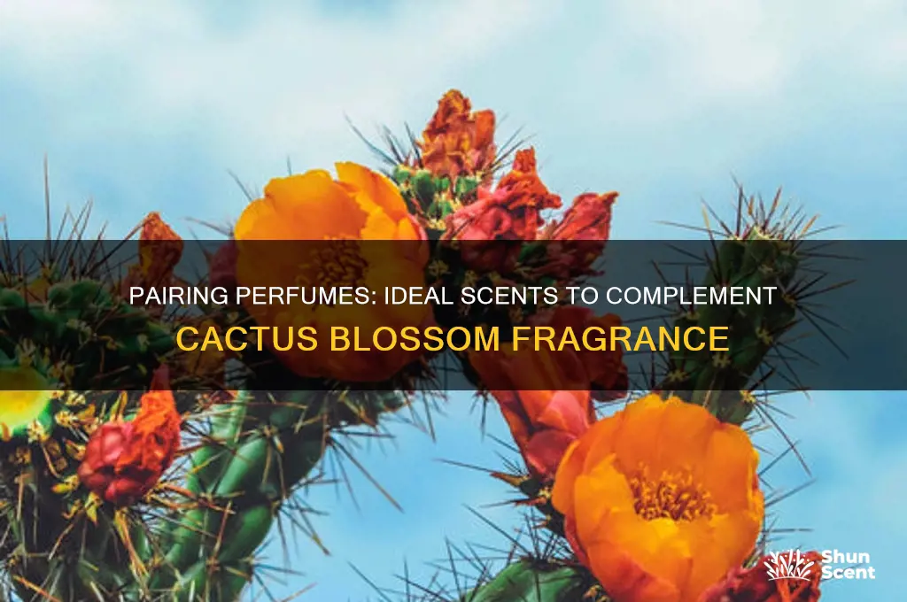 what scent goes well with cactus blossom