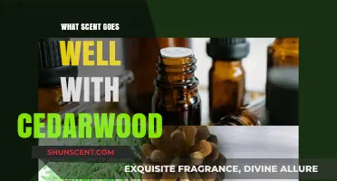 Cedarwood's Perfect Pairings: Discover the Best Scents to Complement Its Warmth