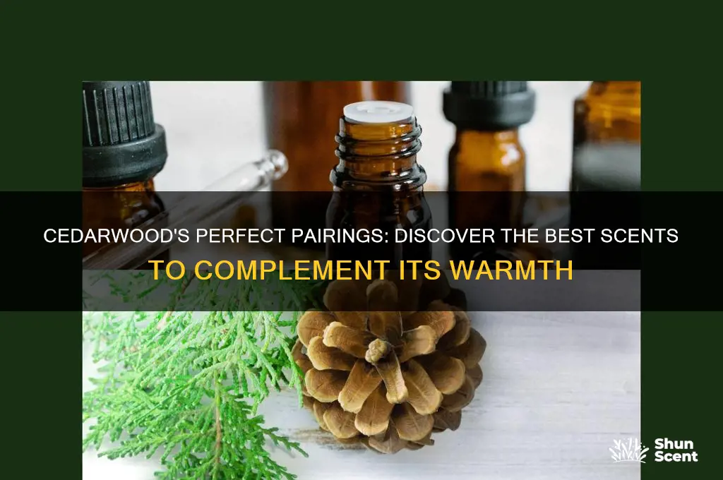 what scent goes well with cedarwood