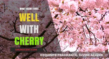 Cherry Bliss: Perfect Scents to Complement Its Sweet, Fruity Aroma