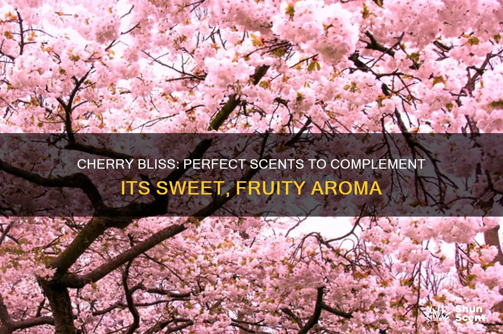 what scent goes well with cherry