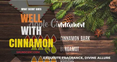 Perfect Pairings: Discover Scents That Complement Cinnamon's Warmth and Spice