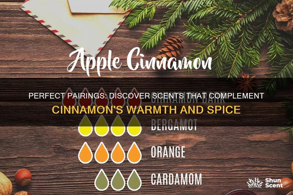 what scent goes well with cinnamon