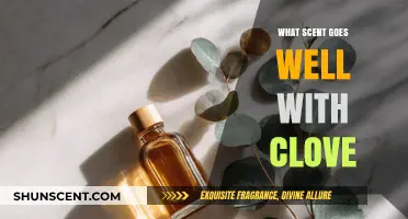 Clove's Perfect Pairings: Discover Scents That Complement Its Warmth