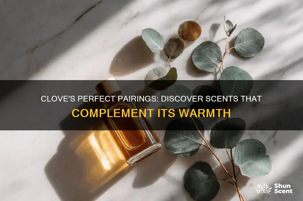 what scent goes well with clove