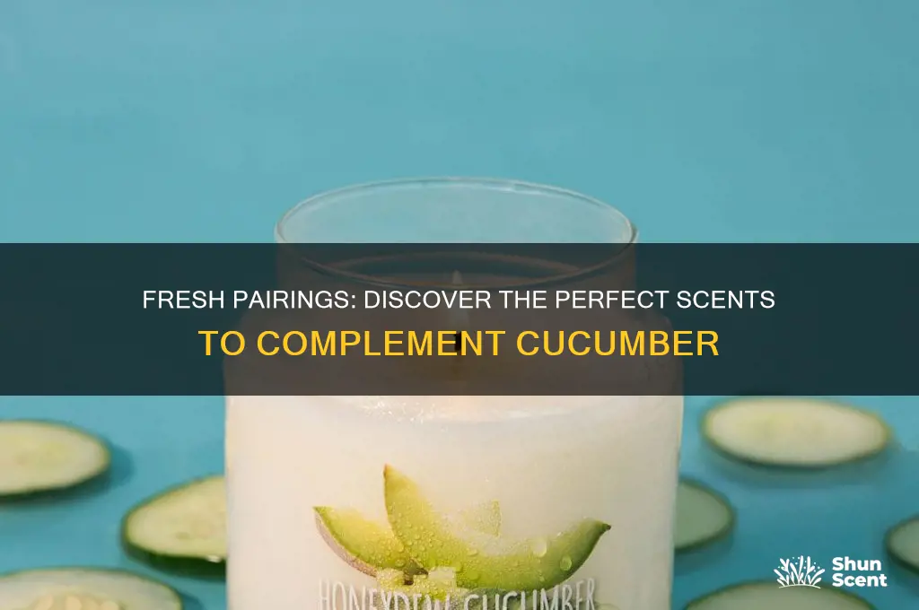 what scent goes well with cucumber