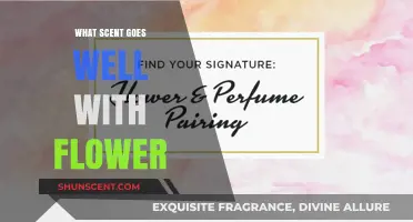 Perfect Pairings: Scents That Complement and Enhance Floral Fragrances