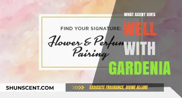Pairing Gardenia: Discover Scents That Complement Its Floral Elegance