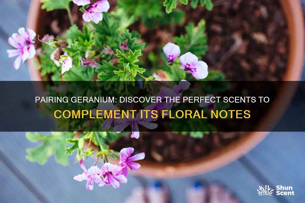 what scent goes well with geranium