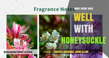 Pairing Honeysuckle: Discover the Perfect Scents to Enhance Its Sweetness