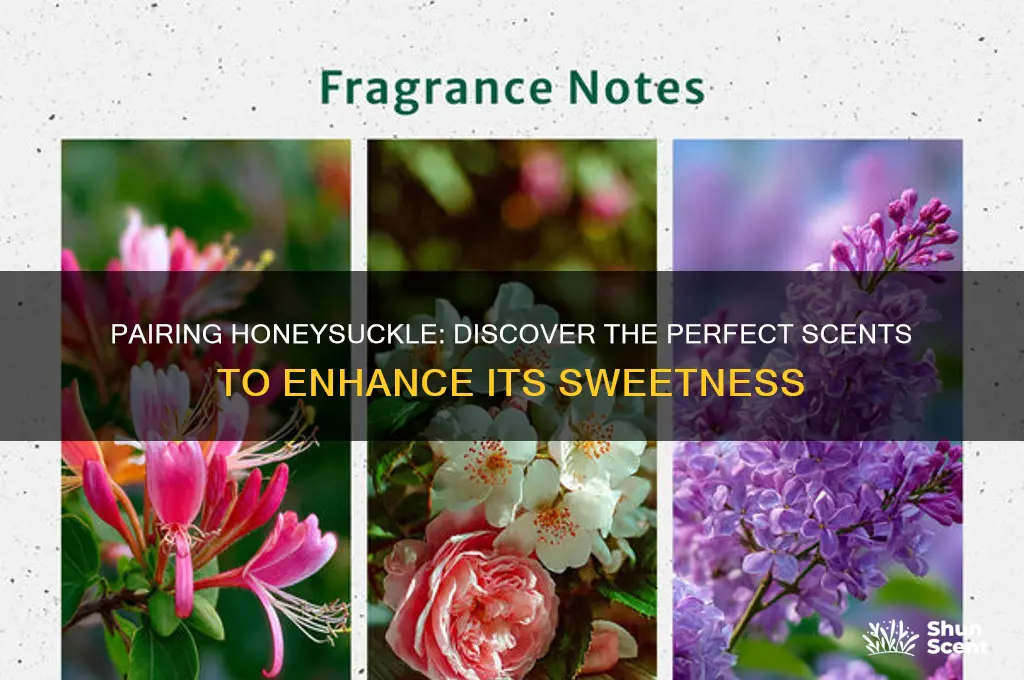 what scent goes well with honeysuckle