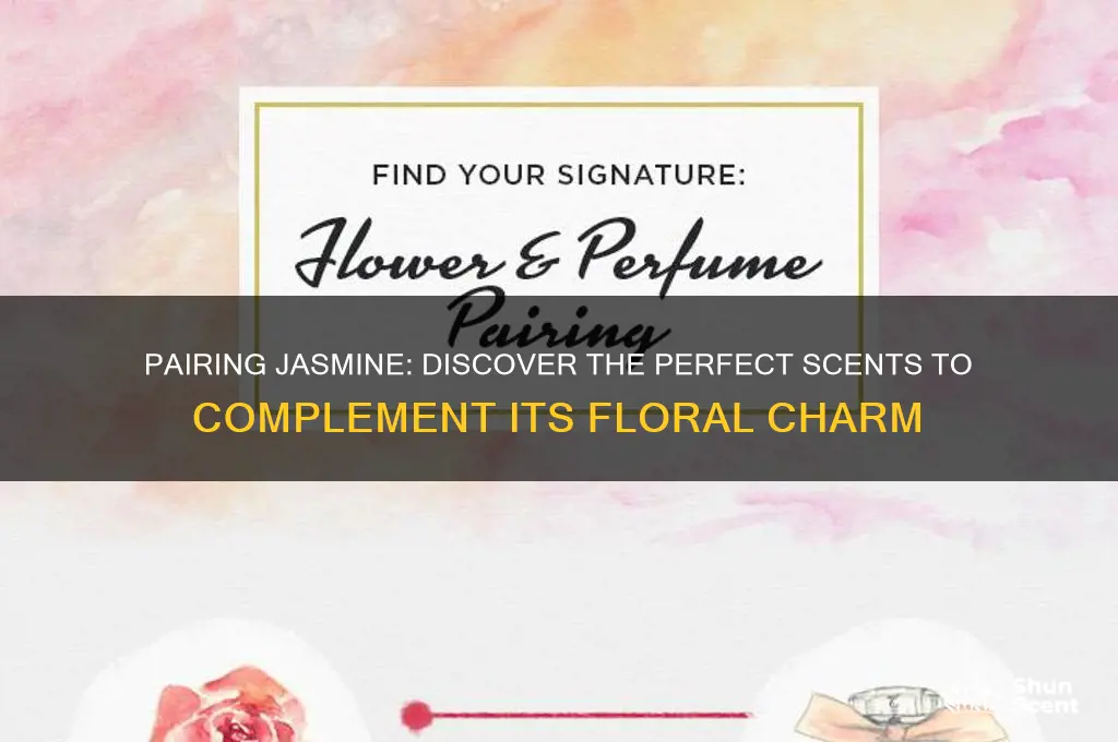 what scent goes well with jasmine
