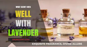 Pairing Lavender: Discover the Best Scents to Complement Its Floral Charm