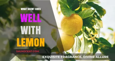 Lemon's Perfect Pairings: Discover Scents That Complement Its Fresh Aroma