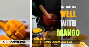 Mango Magic: Discover the Perfect Aromatic Pairings for a Tropical Escape