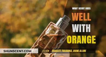 Perfect Pairings: Discover Scents That Complement Orange in Fragrances and Beyond