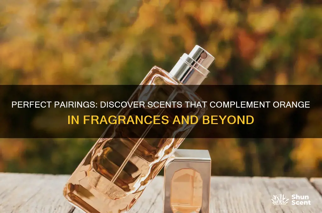 what scent goes well with orange
