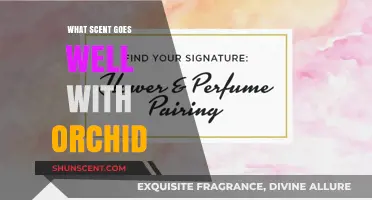 Orchid Pairings: Discover the Perfect Scents to Complement Their Elegance