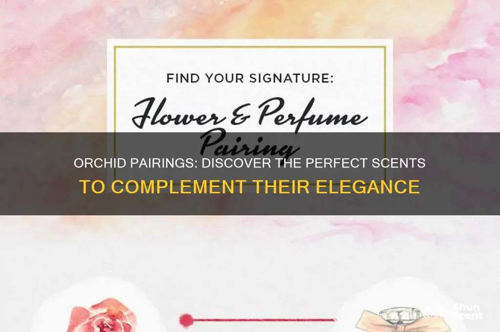 what scent goes well with orchid